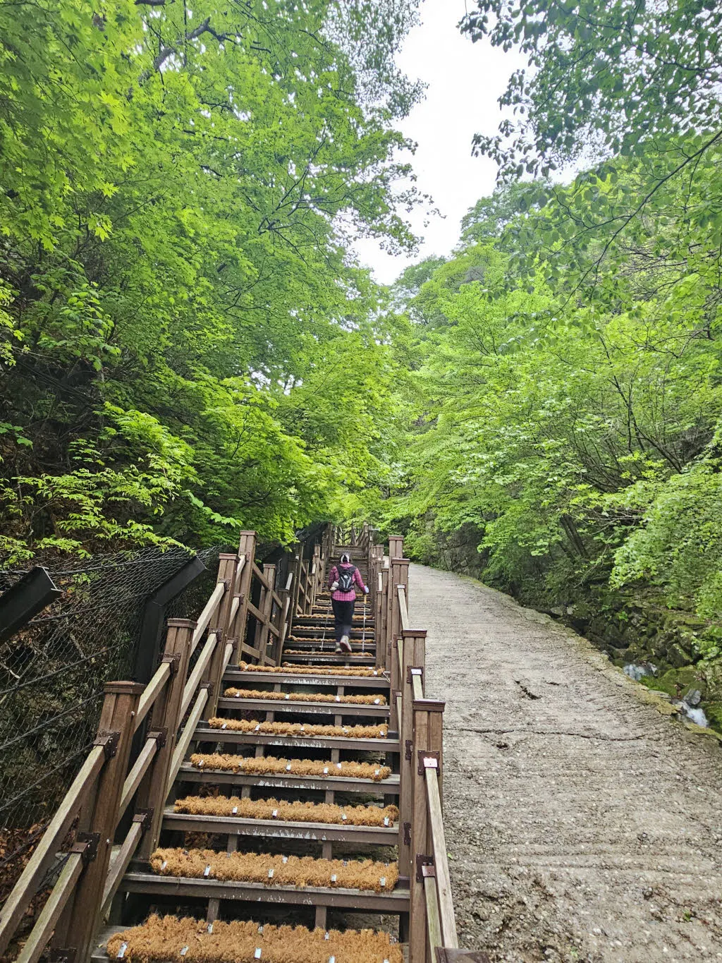 입석사로 오르는 계단