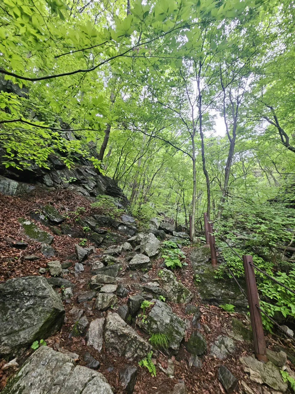 등산로는 어디에 있는가?