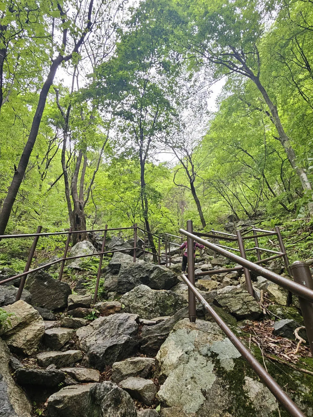 험난한 황골탐방로 초입