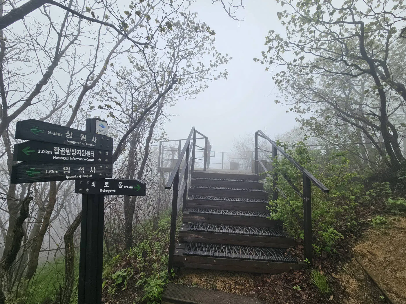 쥐넘이재 전망대