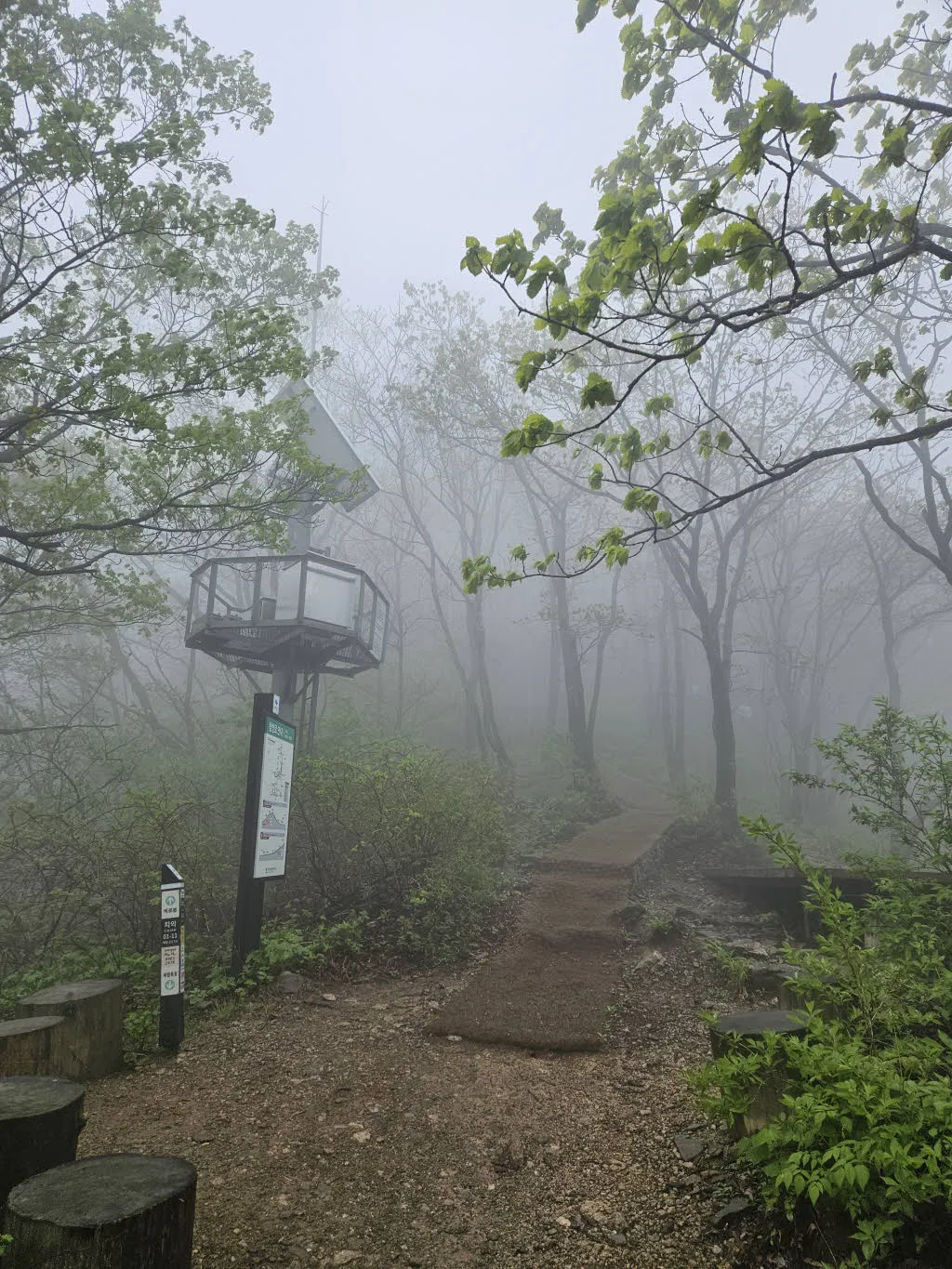 구룡사 방면 등산로와 합류하는 지점