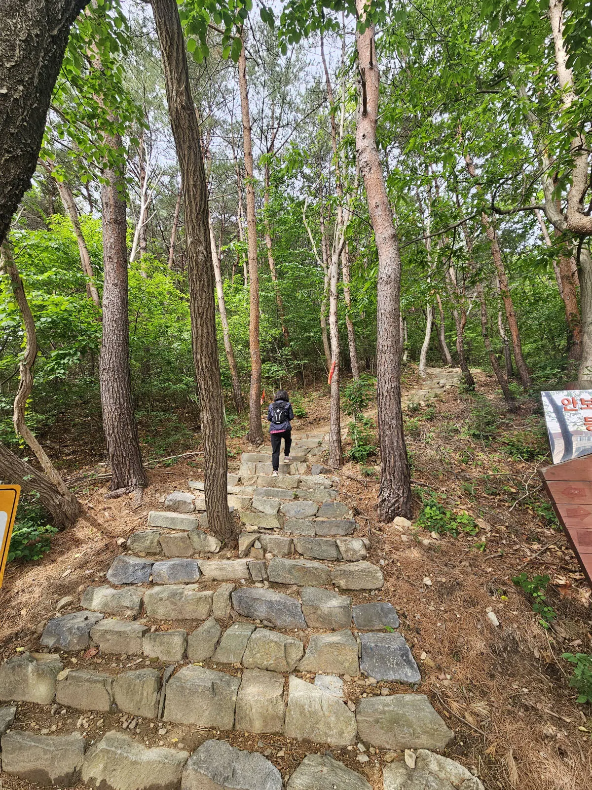 정동진의 초입 구간