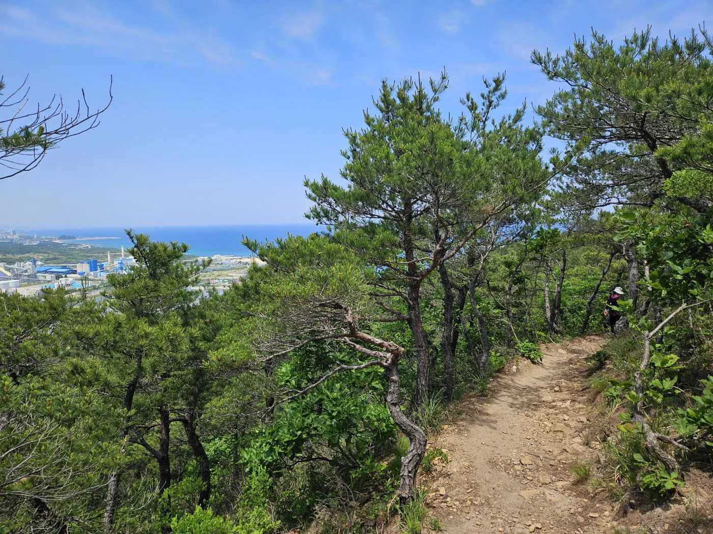안인해변 가는 길