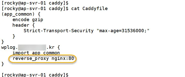Caddyfile에 NginX 도메인주소 연결