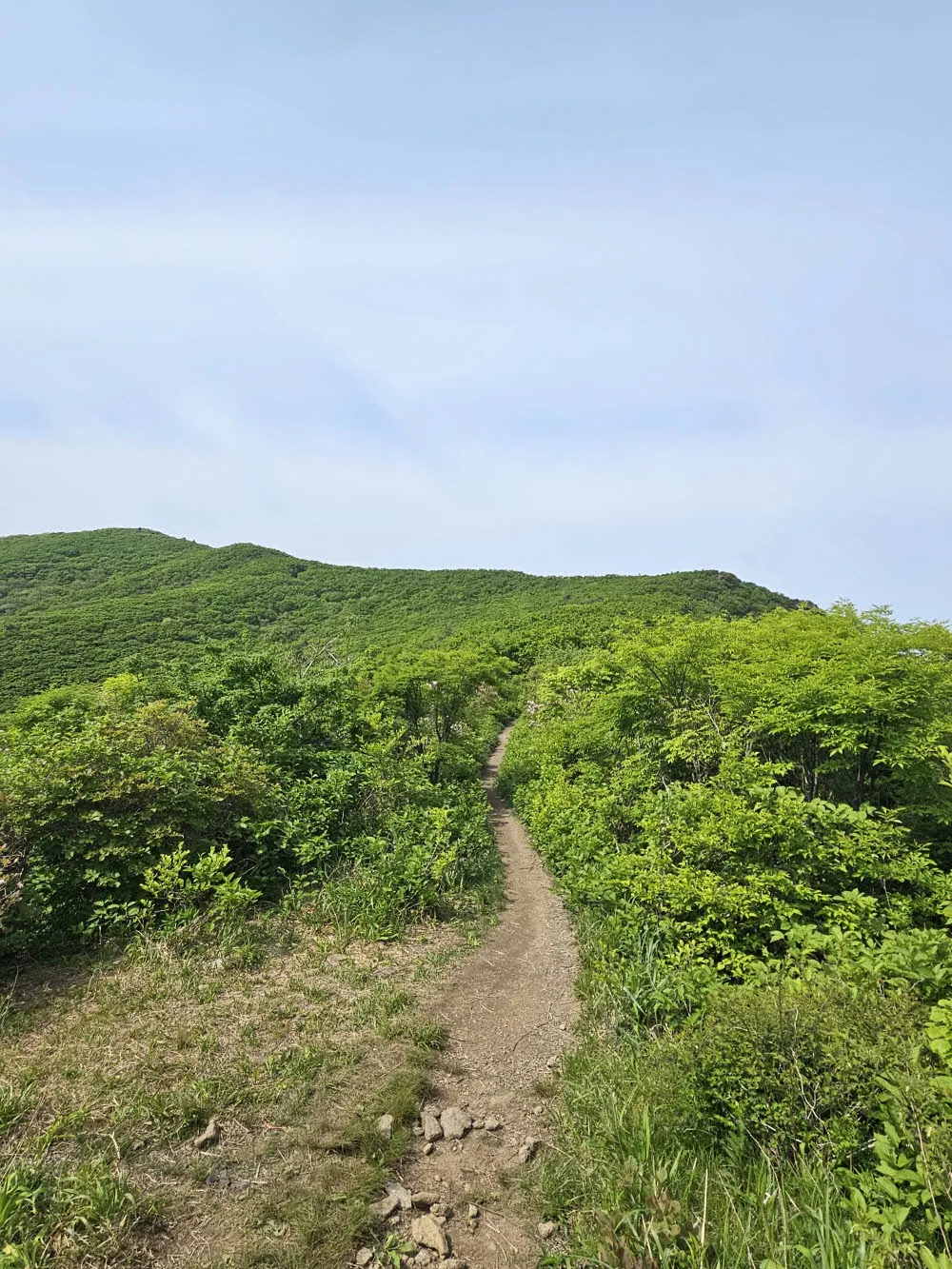 만복대 쉼터에서 만복대 가는 길