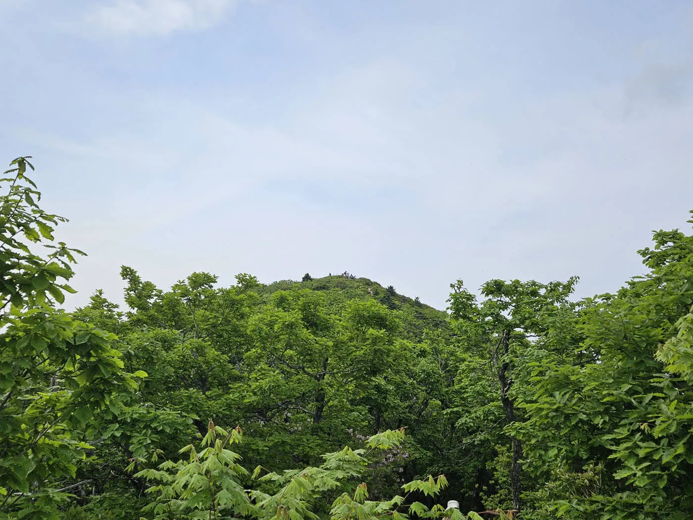 바로 아래에서 바라본 만복대