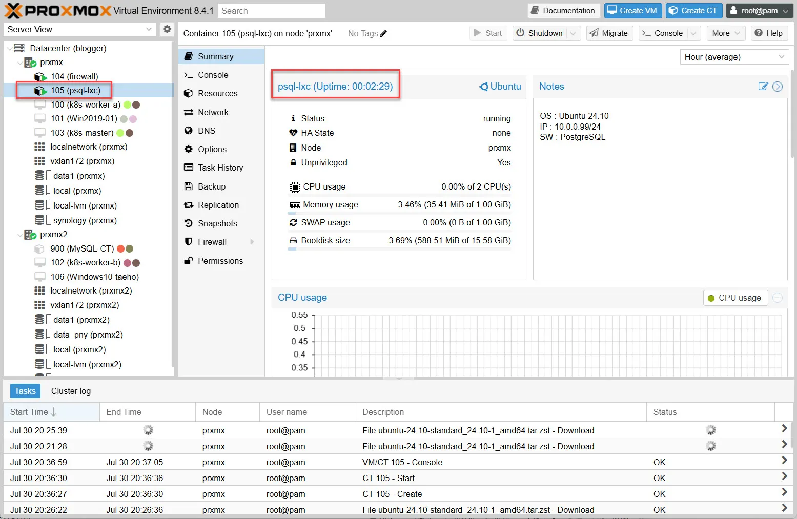 실행된 리눅스 컨테이너 (Ubuntu 24.10)