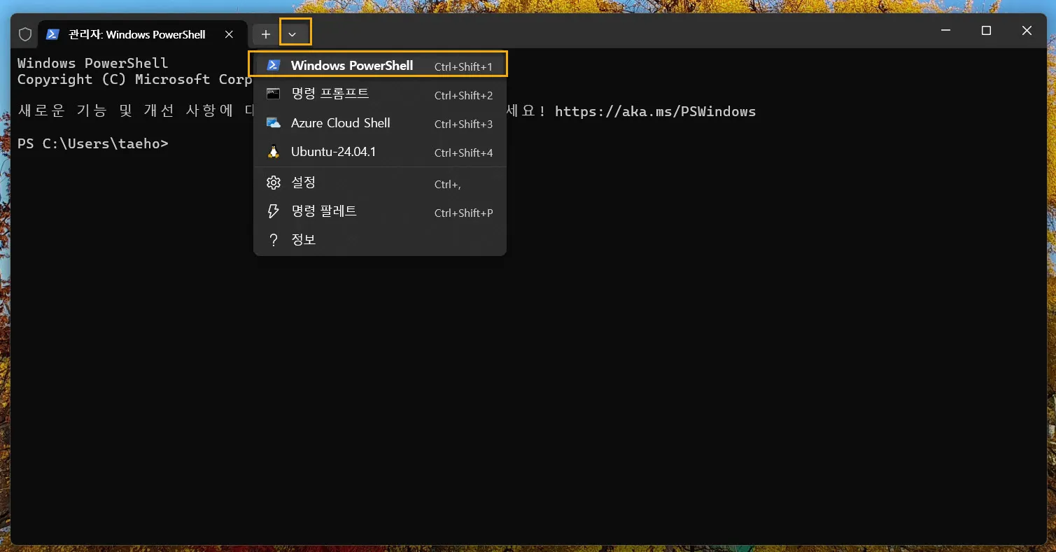 터미널에서 Windows Power Shell 실행
