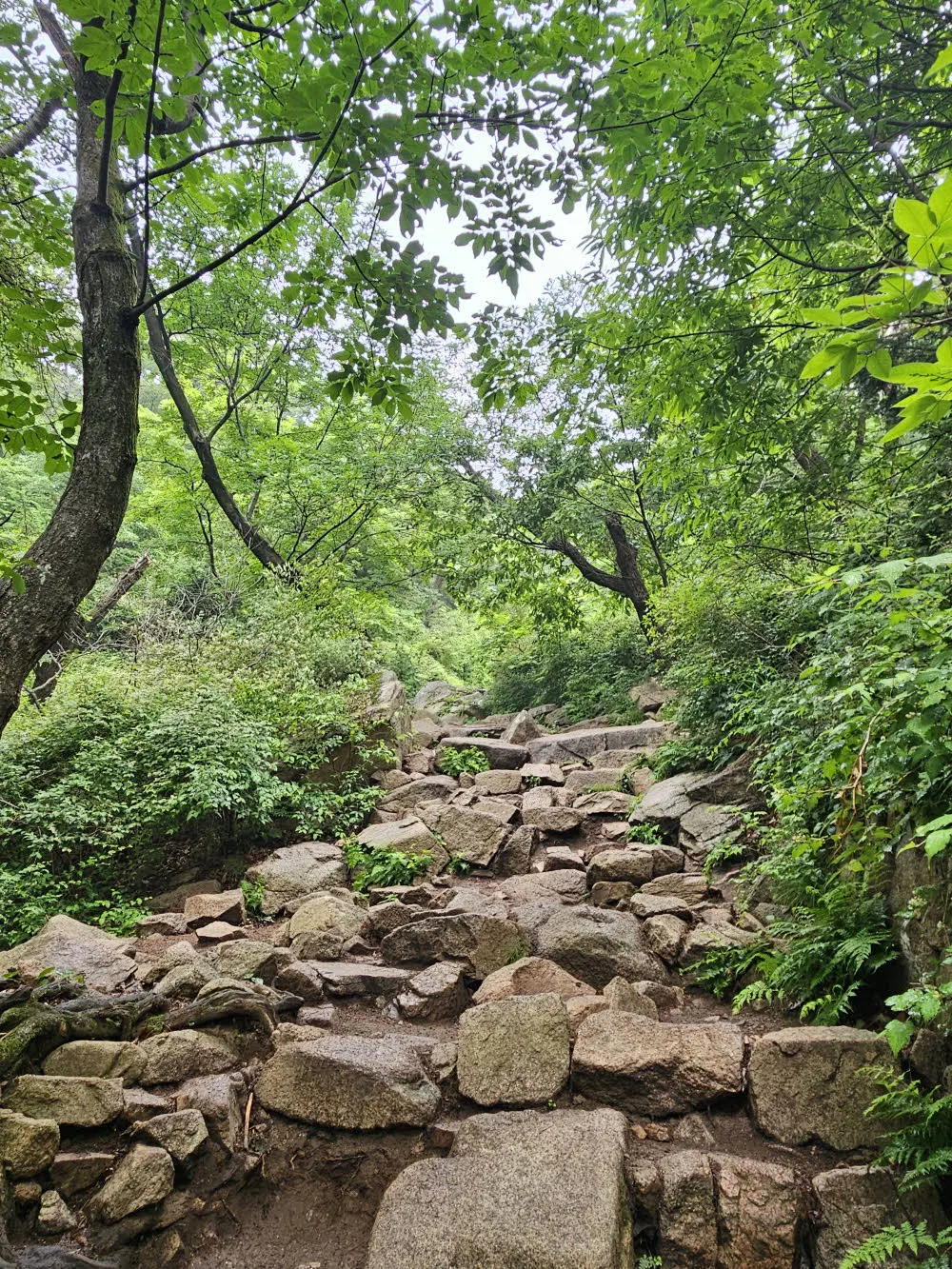 하루재 가는 길