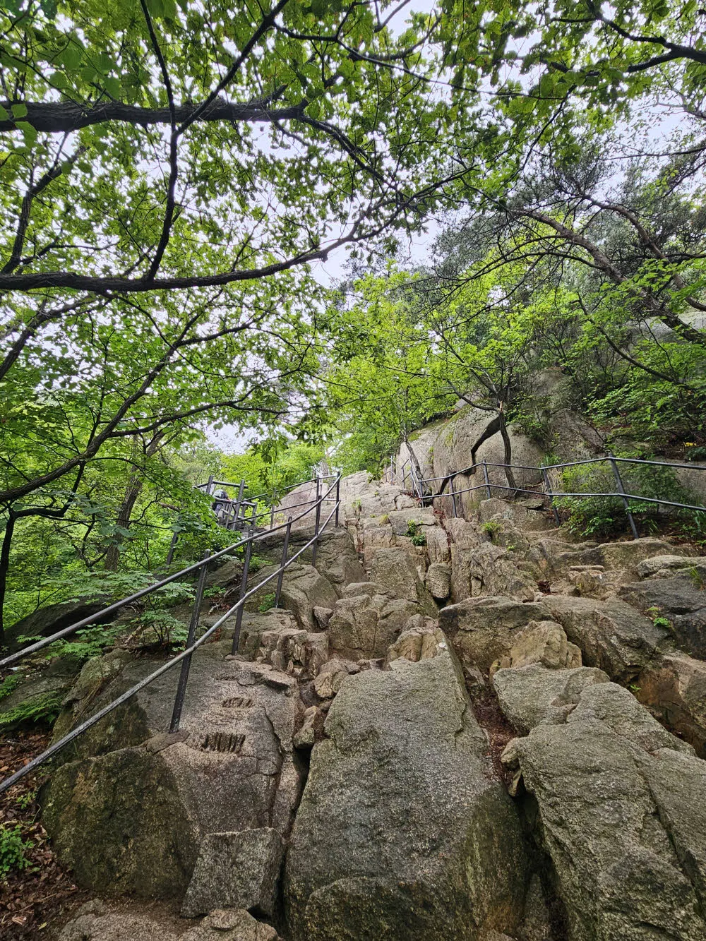 백운봉 암문으로 가는 거친 길