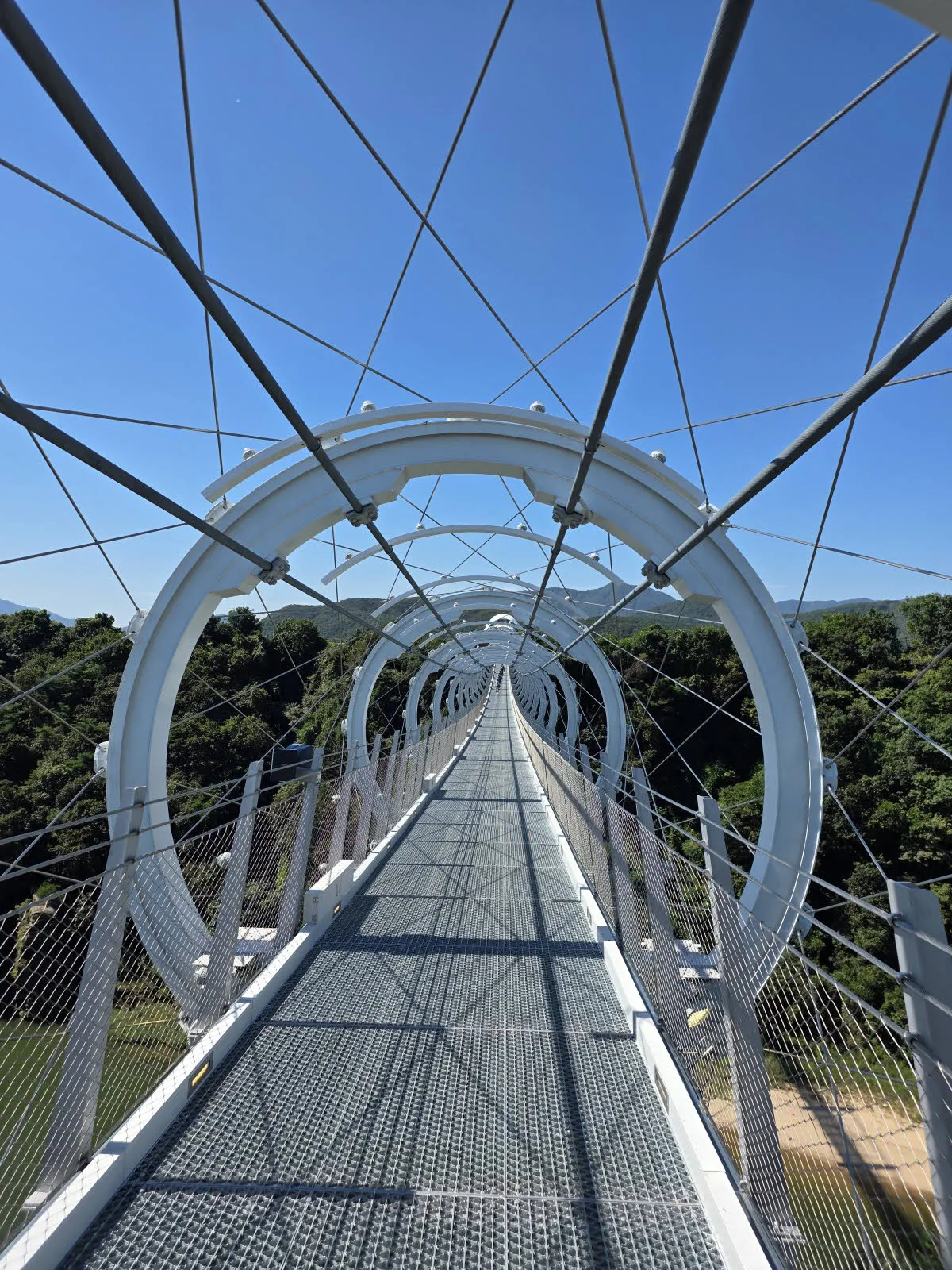 두루미교의 모습