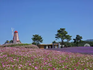 가을맞이 철원 여행