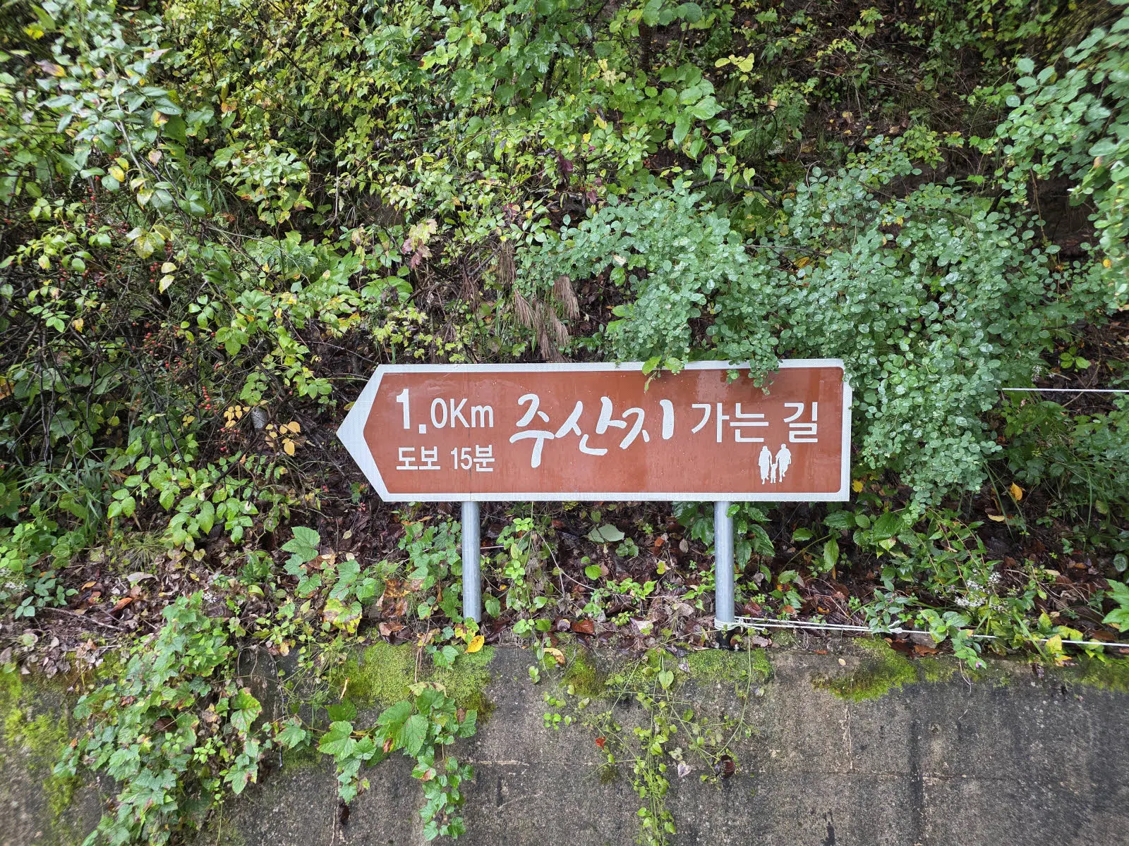 주차장에서 주산지까지 가는 길