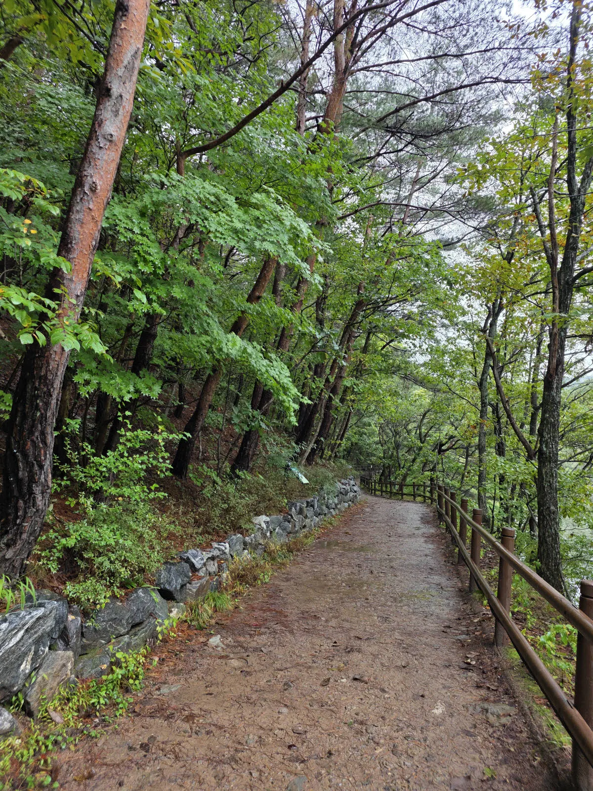 주산지 왼편의 산책로