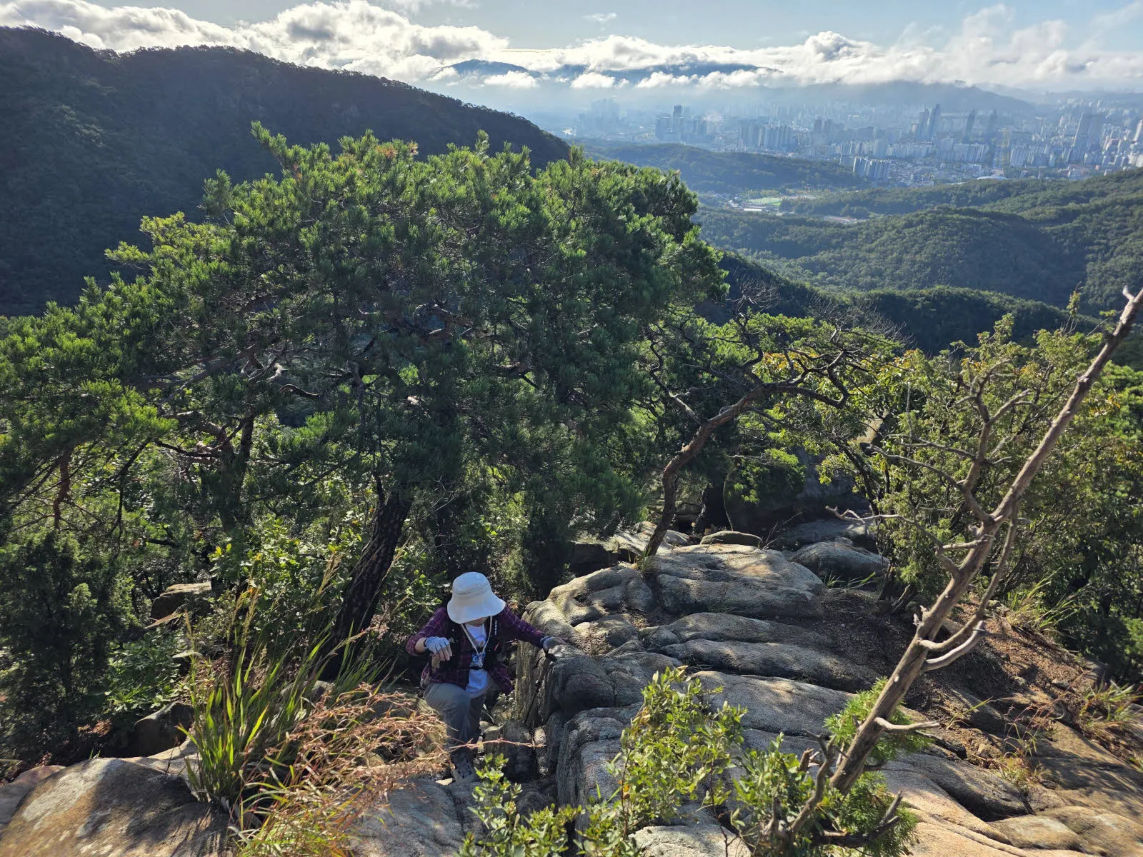 국기봉 가는 험난한 등산로
