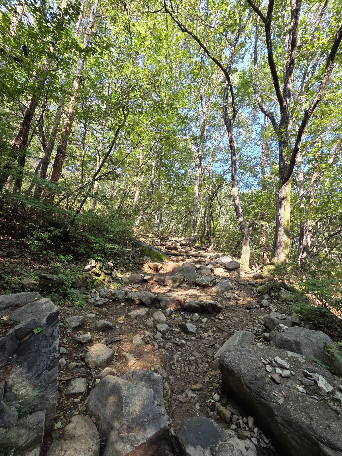 점점 돌이 많아지는 신불산 오르는 길