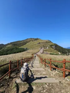 억새가 만개한 신불산 – 간월재 하이킹