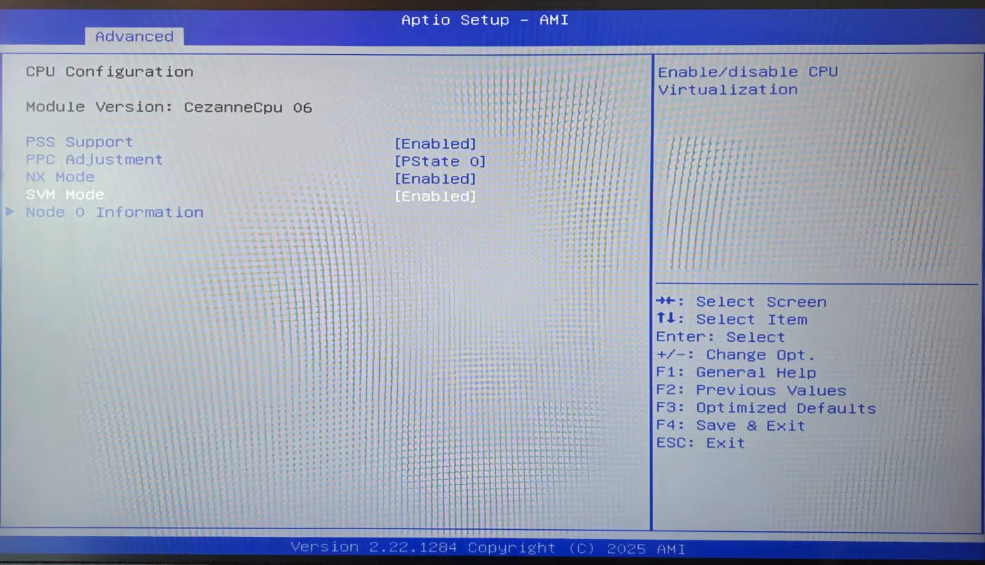 Aptio Setup - AMI Bios - Advanced - Vitualization Option