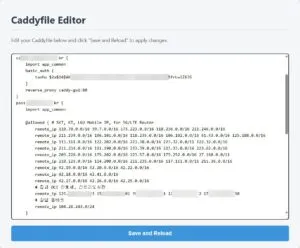 리버스 프록시 Caddy의 Caddyfile 매니저를 만들다
