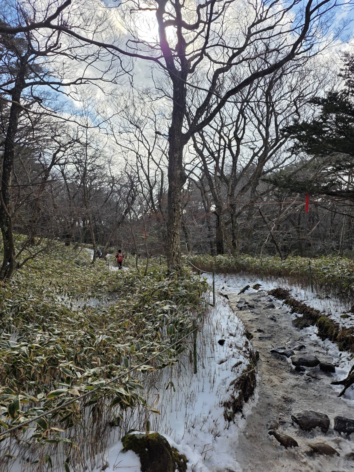 영실코스 초입