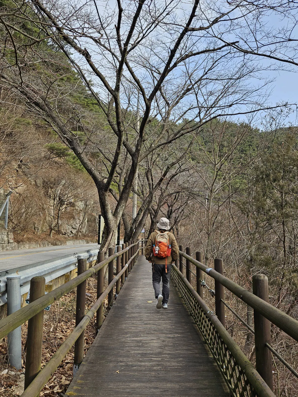 호경 정류장에서 하차 후 육모정을 향해 걷는다