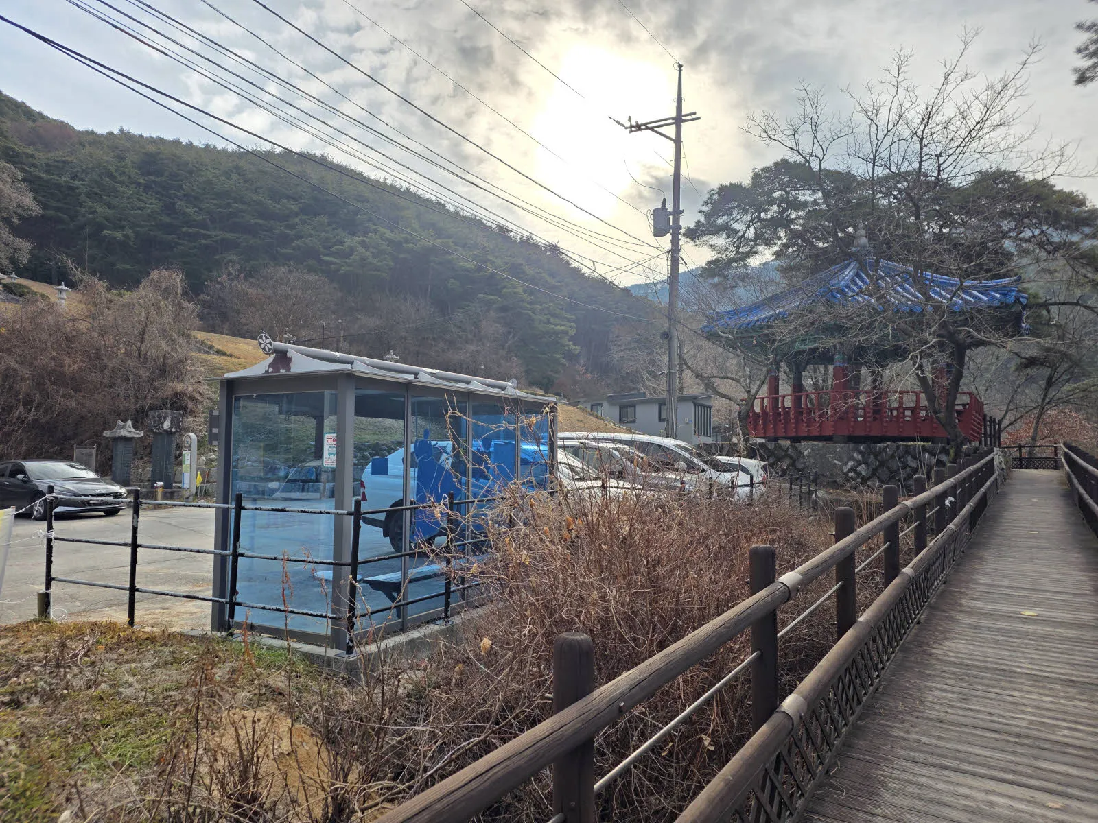 육모정
