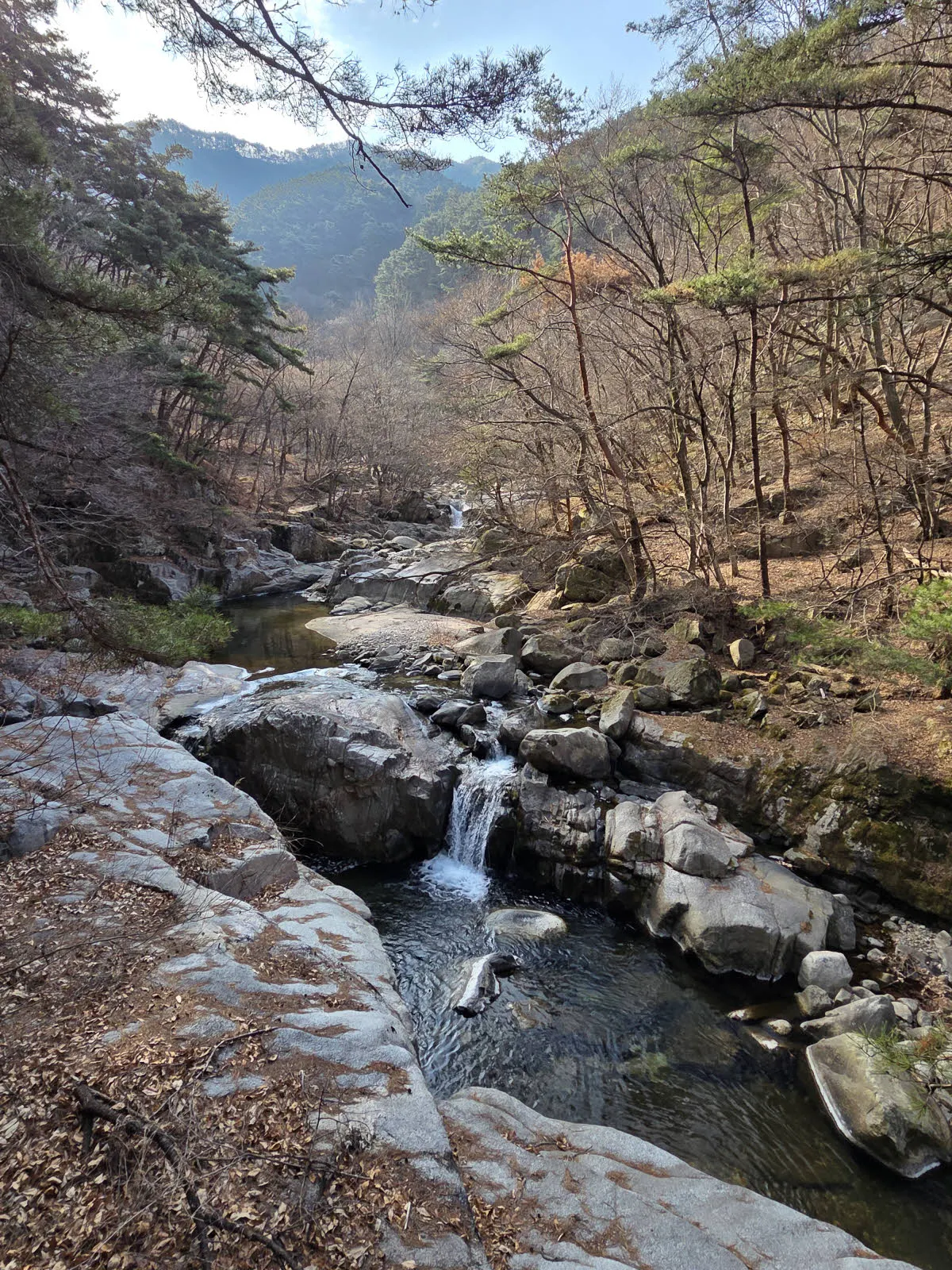 구룡계곡의 풍경