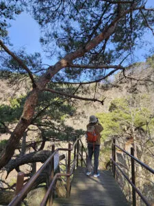 지리산 둘레길 1코스와 구룡계곡 순환 트레일 코스