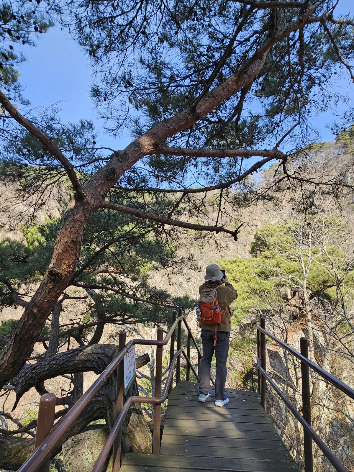 계곡인지 산인지