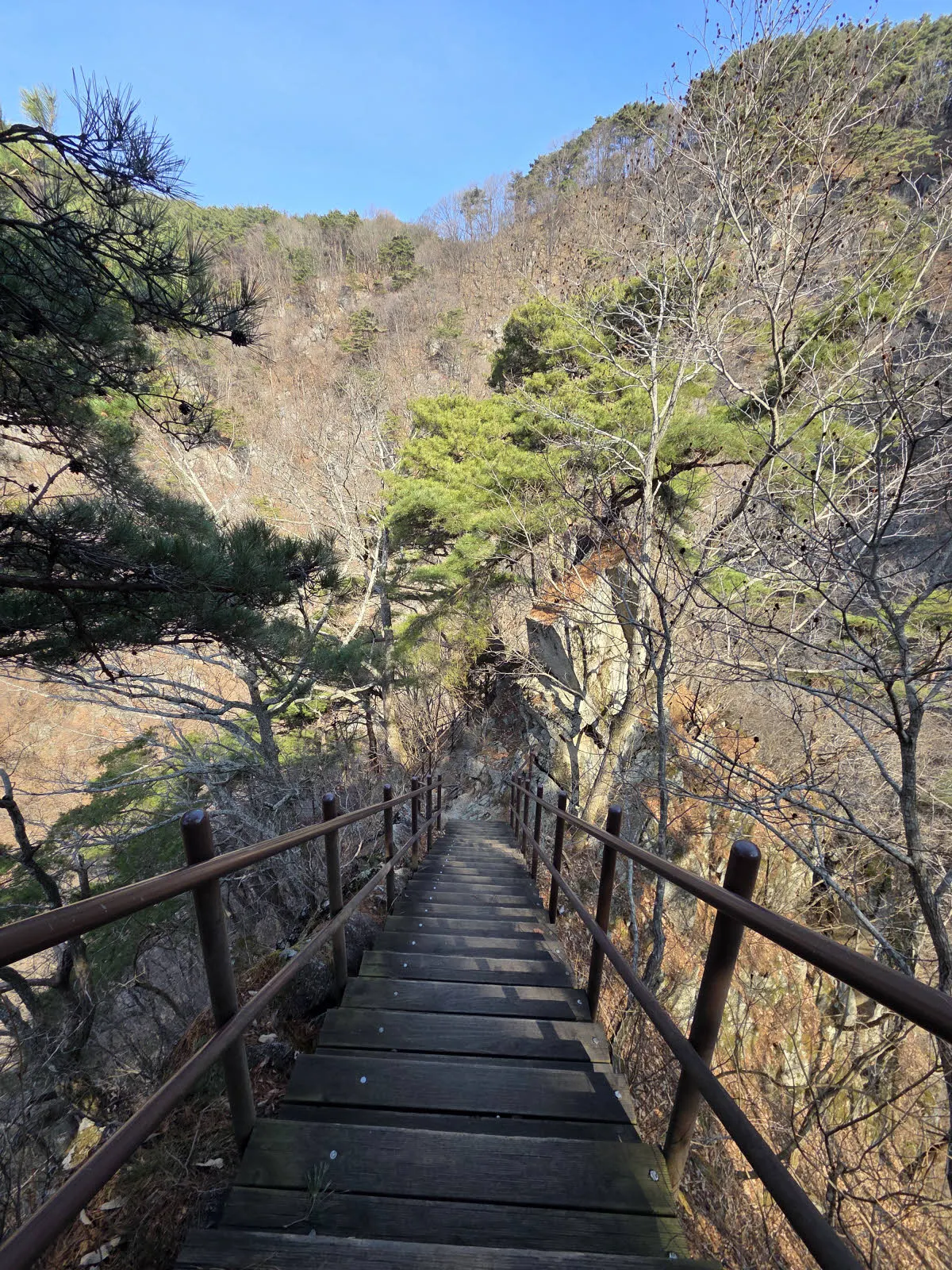 올라온 계단