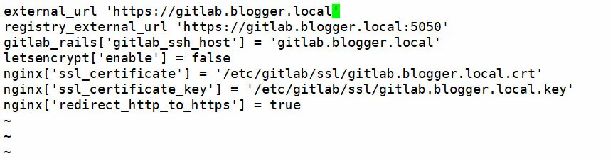 GitLab에서 사용할 도메인 설정