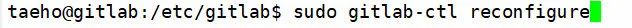 sudo gitlab-ctl reconfigure