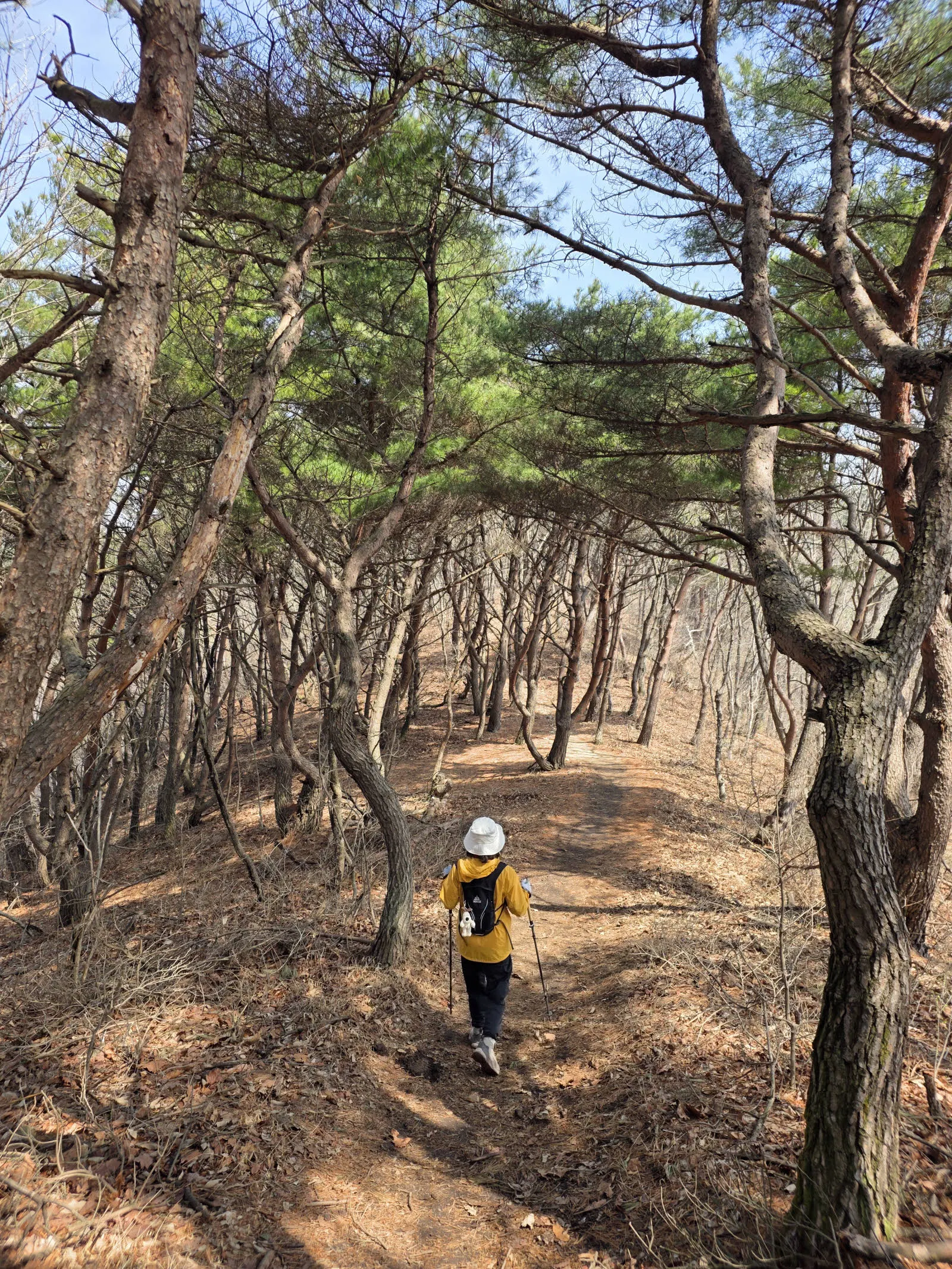 석문봉에서 옥양봉 가는 편안한 능선길