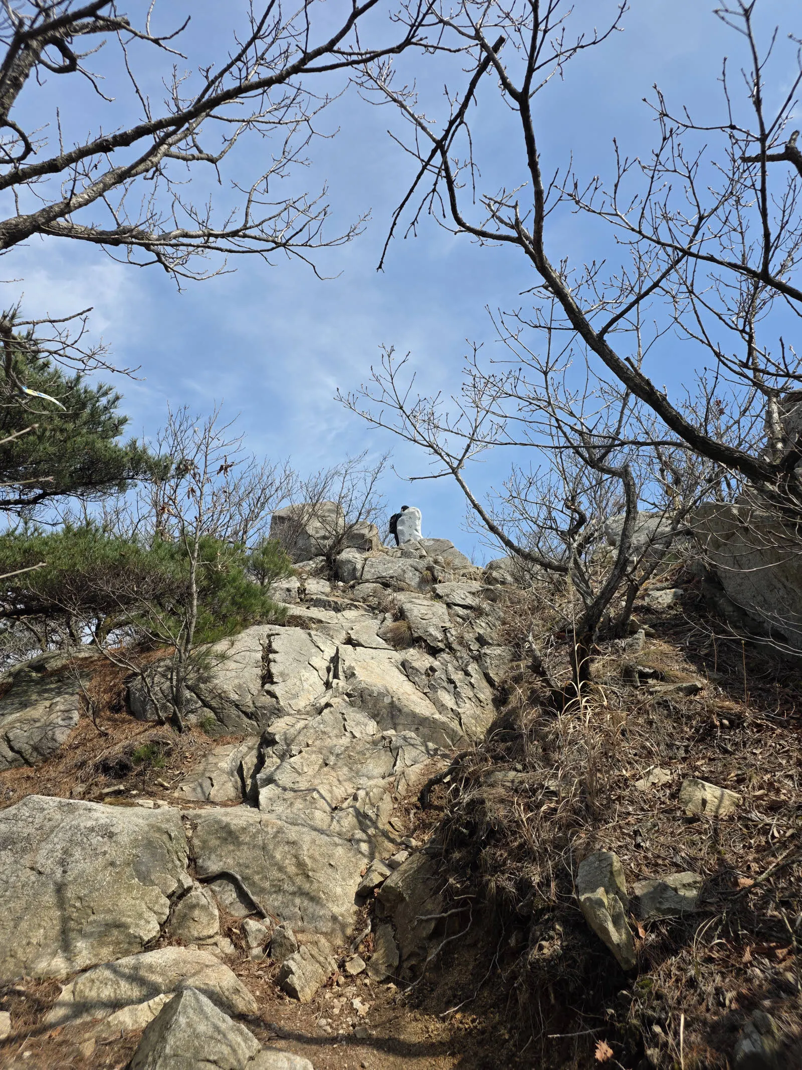 드이어 마지막 옥양봉이다