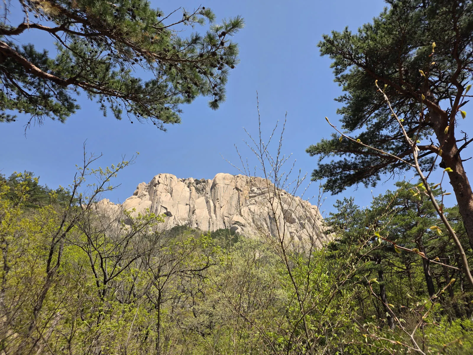 흔들바위 가기 전 마지막 화장실 위치에서 본 울산바위