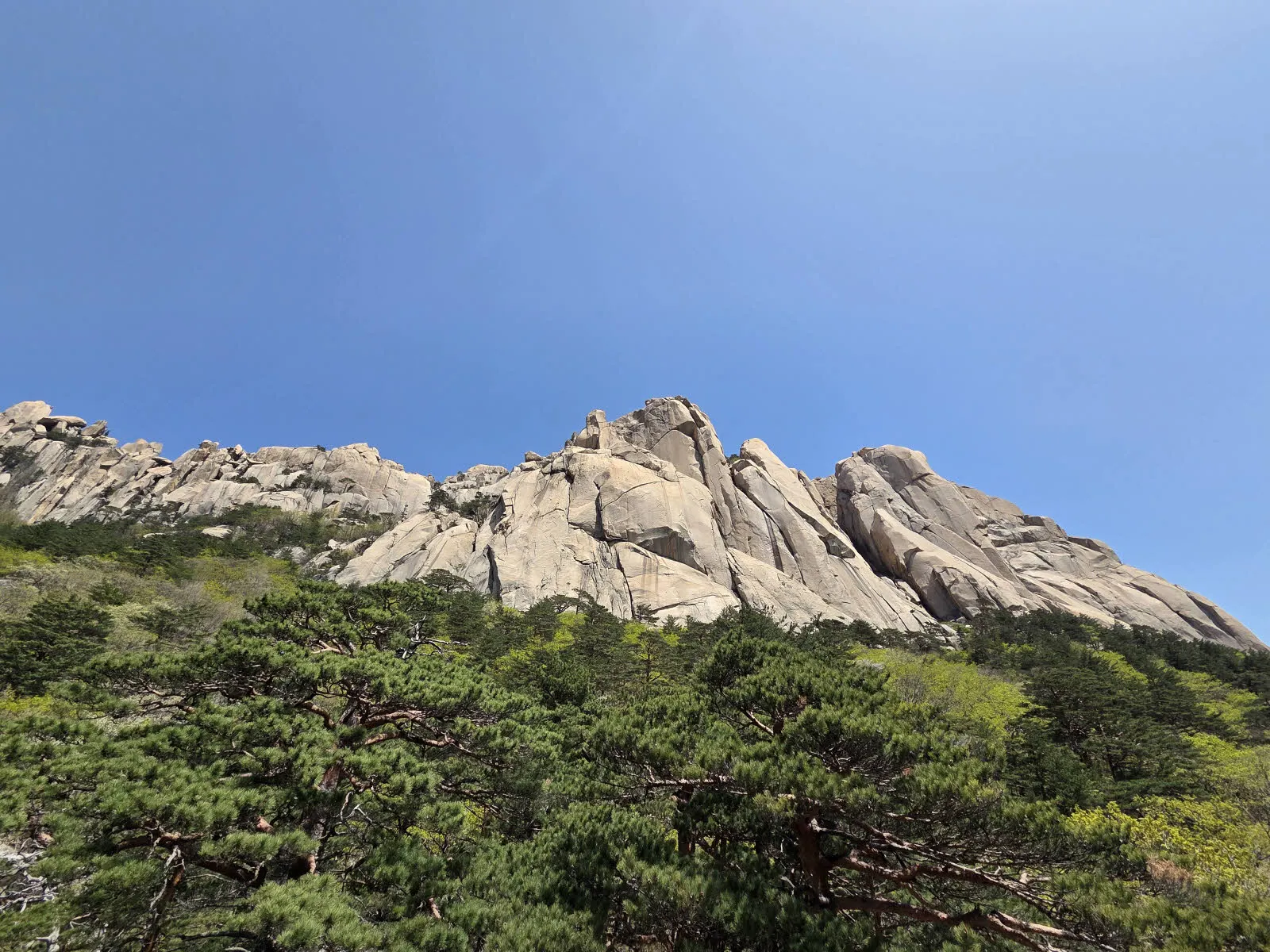 조망점에서 바라본 울산바위