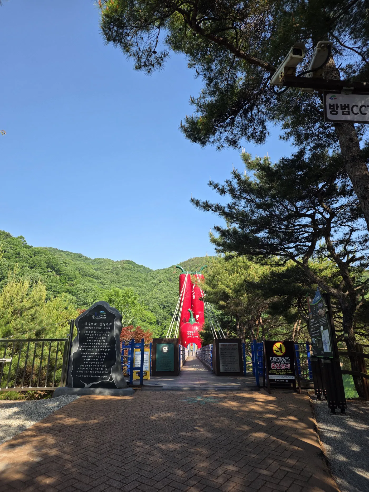 천장호 출렁다리