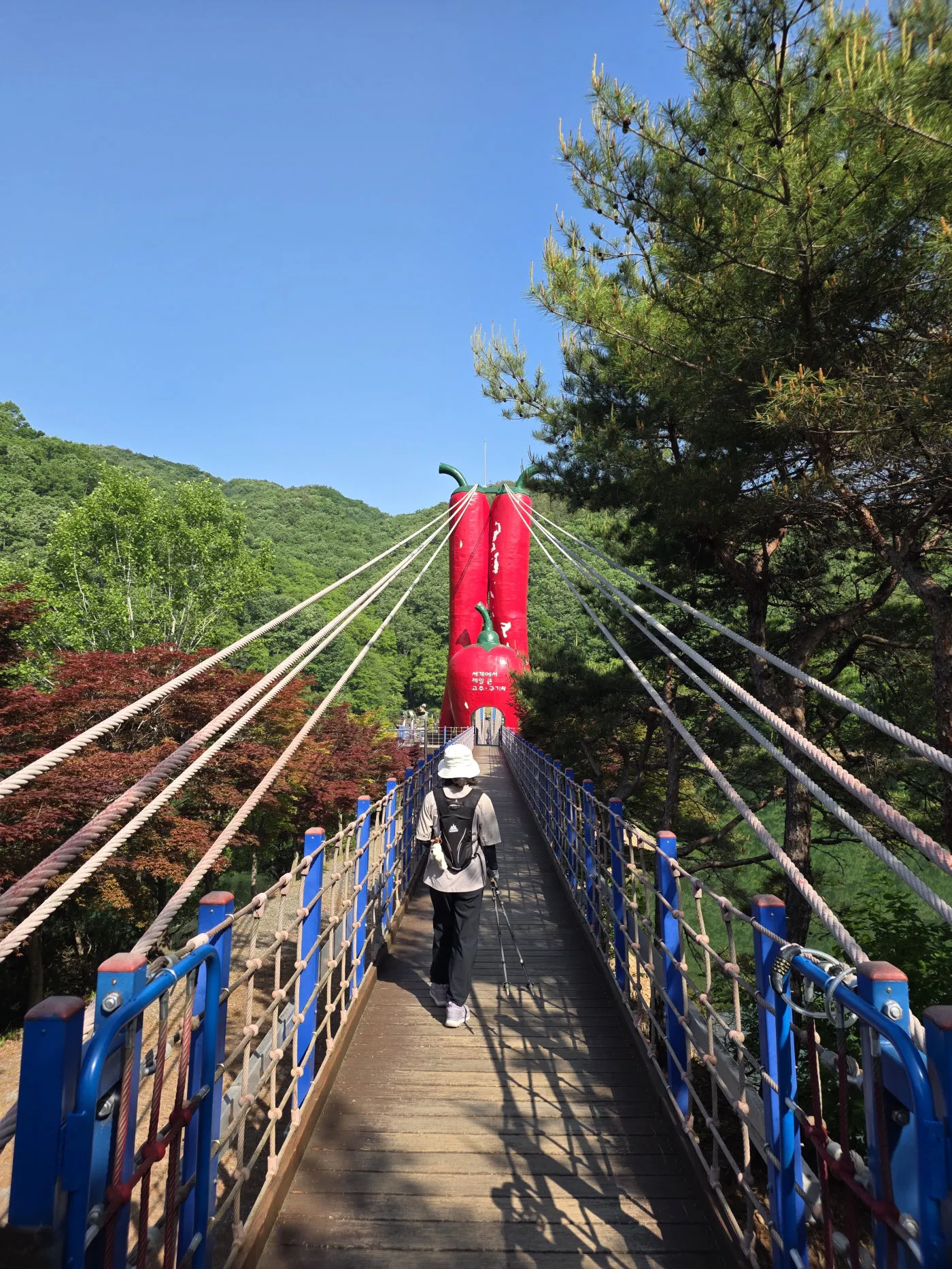 천장호 출렁다리 건너기