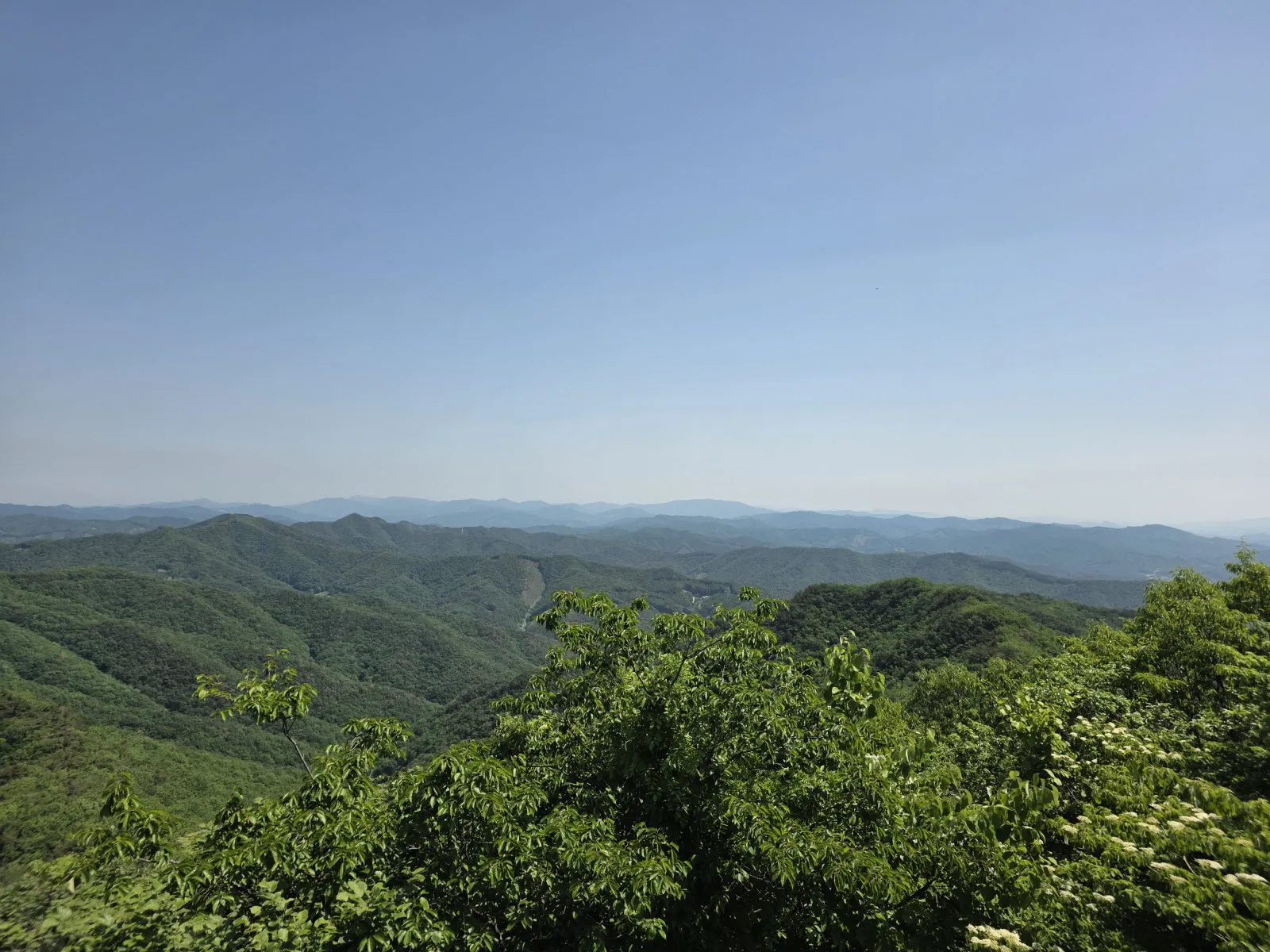 칠갑산 정상에서 바라본 차령산맥 줄기