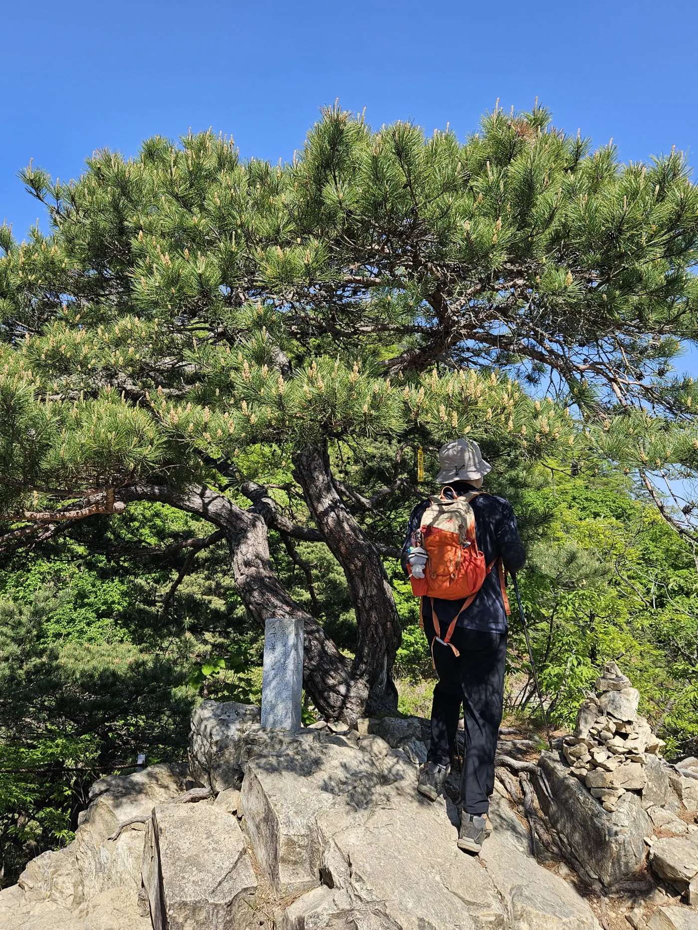 구봉산의 첫번째 봉우리 - 1봉