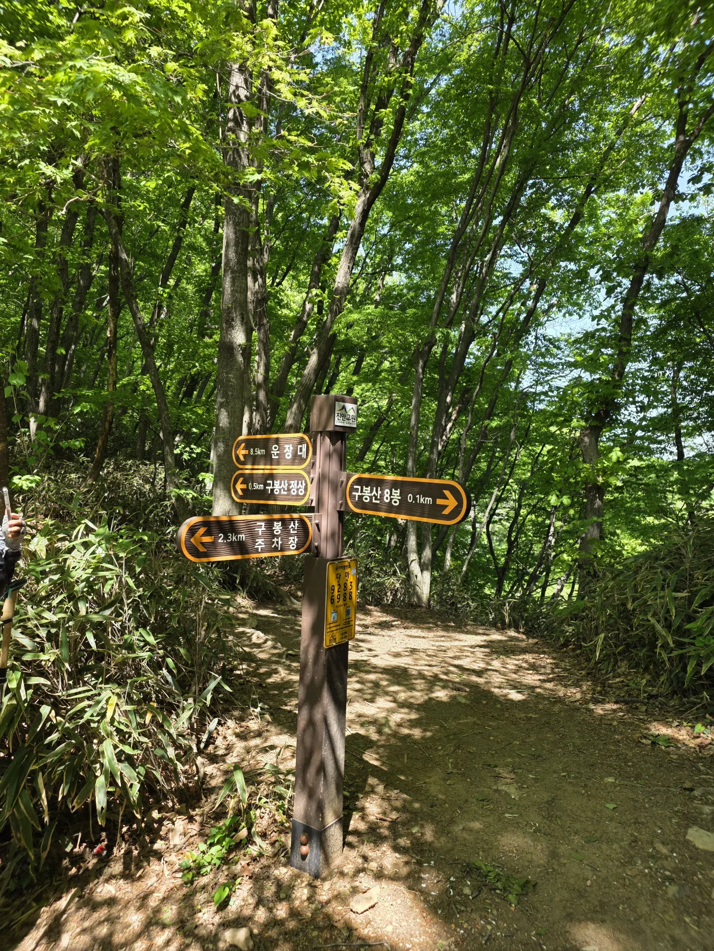 하산과 정상의 갈림길