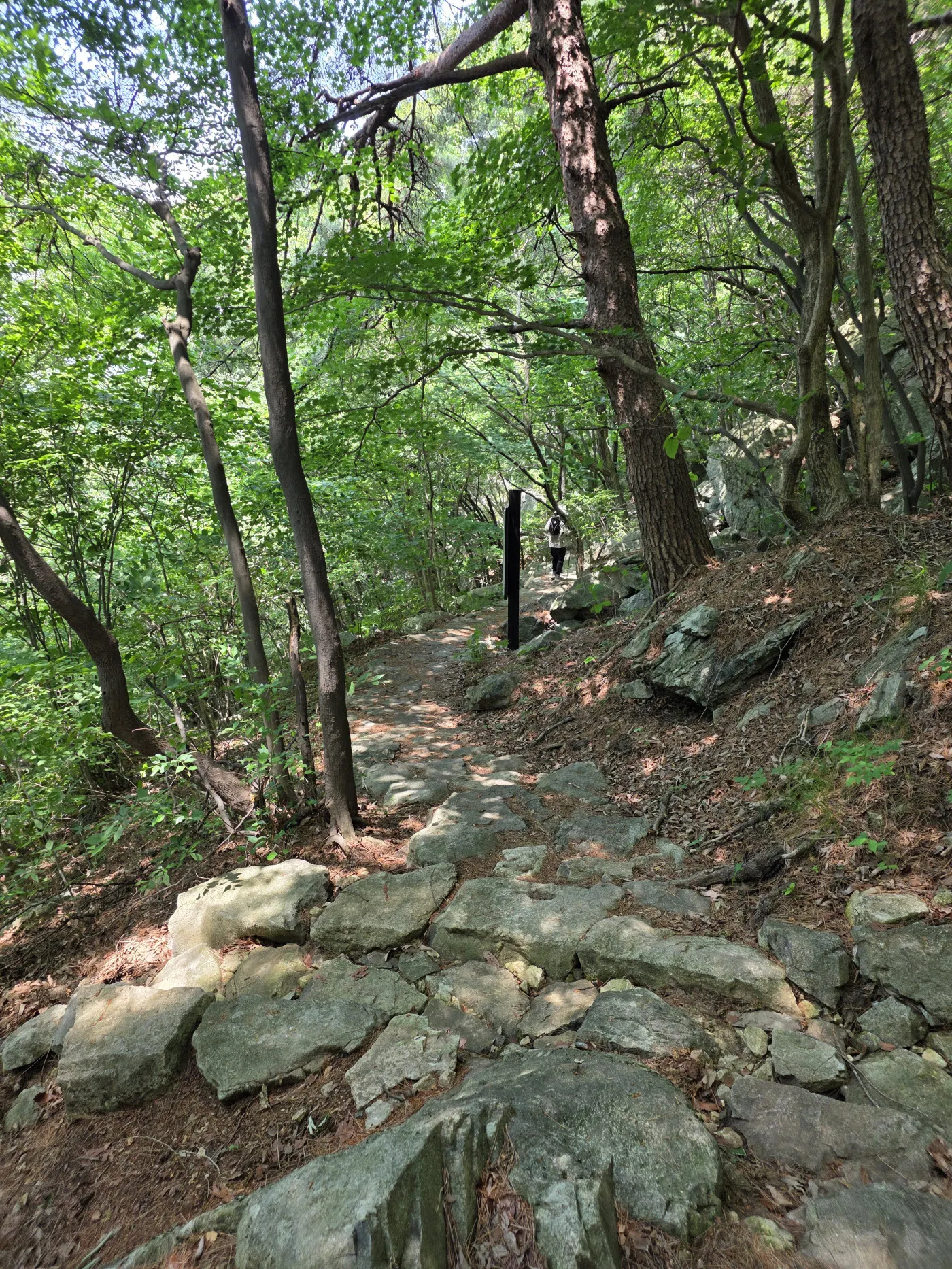 팔영산 자동차 야영장 주차장(탑재)방면 하산길