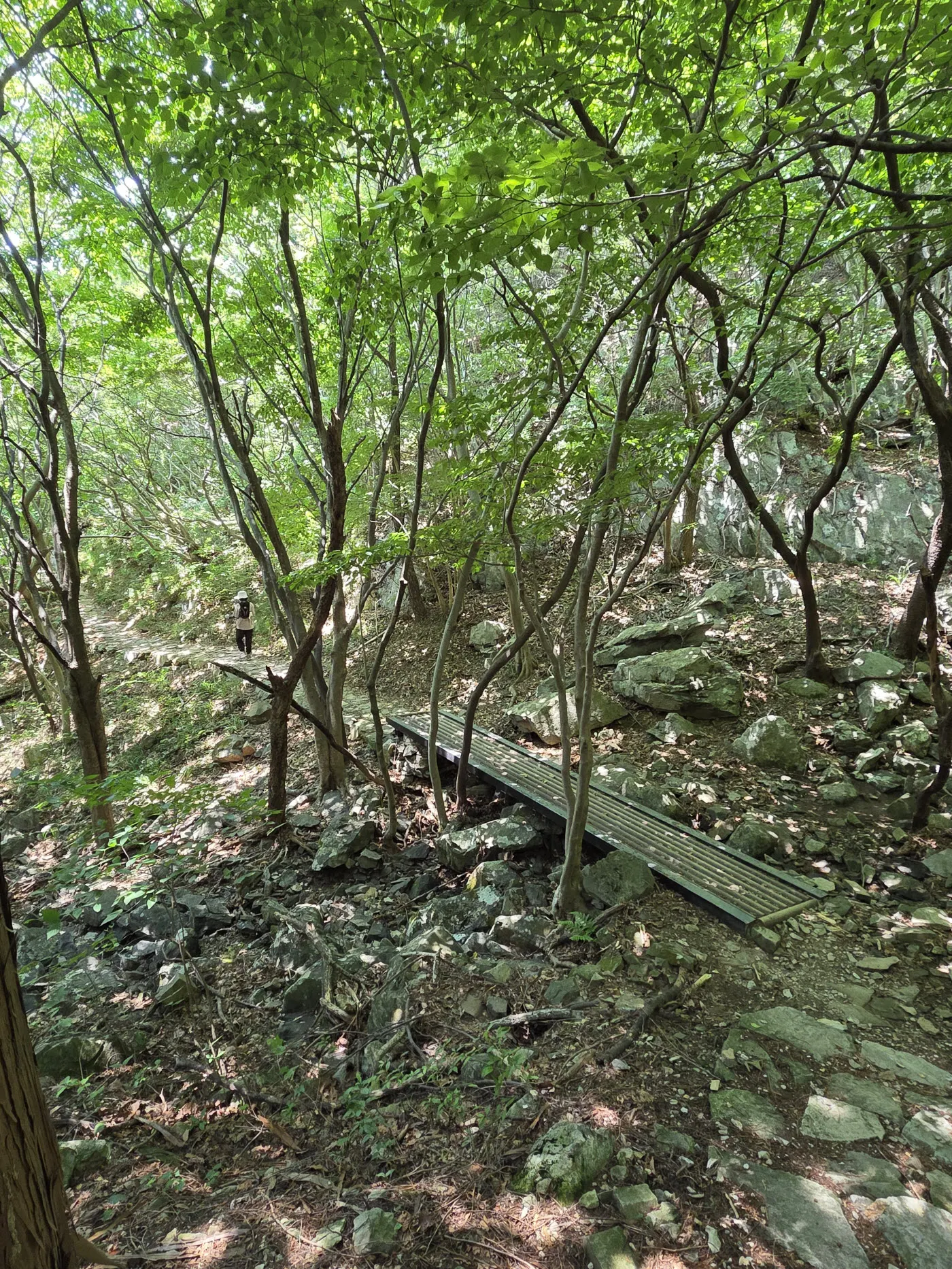 탑재(주차장)방면 하산길